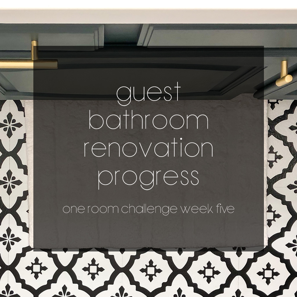 Guest Bathroom Renovation Progress – Affordable Flooring